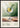 Classic Cocktails Gin and Tonic poster