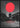 Japanese Temple Night Poster