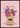 Rose Brand Flower Poster