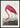 Pink Flamingo - Poster Birds of America