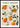 Citrus Sinensis Orange Poster