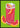 Grapefruit Paloma Pistachio Poster