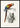 Macaw and Woodpecker Poster
