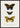 Different Types of Butterflies III poster