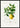 Botanique Citrus Limonium Poster