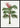 Kentiopsis Palm Poster