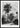 Vintage Palm Tree Illustration Poster