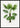 Trithrinax Brasiliensis Poster