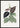 Bignonia Argyro Violascens Poster