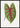 Green Caladium Chantini Leaf Poster