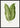 Dieffenbachia Baraquiniana leaf art poster