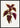 Pink Coleus Leaf Art Poster