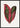 Pink Dracaena Terminalis Poster