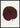 Pink Gesneria Exoniensis leaf poster