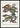 Exotic fish by J V Schley poster