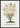 Poster Purple Fringe Tree