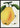 Kiefer's Hybrid Pear poster