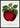 McIntosh Red apple poster