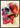 Anatomy Art 1 Skull Poster