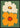 Flower Power 1 Poster