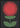 Crimson Blossom Poster