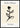 Kōbō Hikari Silhouette Blossom poster