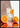 Evergreen Tropical Summer Oranges poster