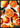 Evergreen Tropical Summer Fruits Oranges Poster