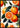 Evergreen Tropical Summer Fruits Poster