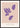 Galerie Noir No. 14 poster