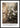 Les Couleurs Du Sud - Wild Roses Poster