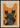 Black Cat Magic Poster