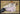 The Sofa by Toulouse-Lautrec poster