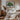 Livistona Chinensis palm poster