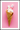 affisch för marshmallowglass