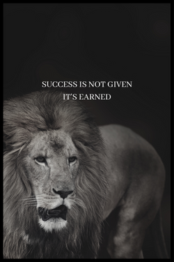 Success is not given poster