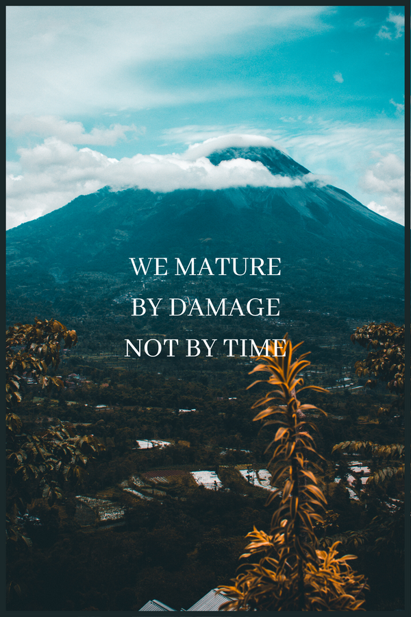 We Mature By Damage poster